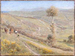 Berryharbour Valley, N.Devon