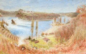 Watervallen van de Rijn