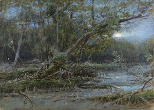 Vuurvliegjes, Demerera, c.1902