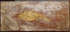 Dode vogel door Albert Pinkham Ryder