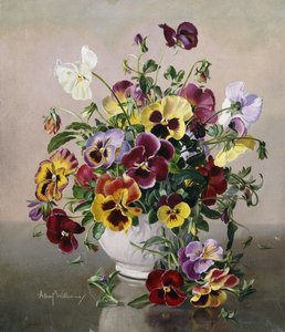 Een stilleven met viooltjes door Albert Williams