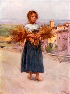 Kleine arenlezer in de Campagna