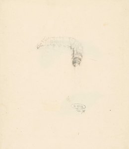 Studieblad met rups, Lasiocampa Quireifolia door Albertus Steenbergen
