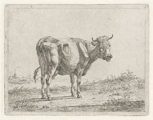 Staande koe