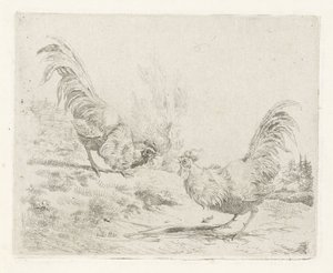 Twee vechtende hanen