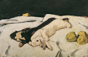 Dode Hazen