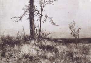Landschap door Albion Harris Bicknell