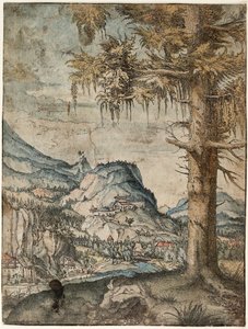 Duits: De grote spar Grote spar door Albrecht Altdorfer