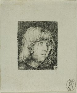 Hoofd van een Jonge Man door Albrecht Altdorfer