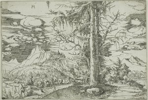 Landschap met een dubbele spar