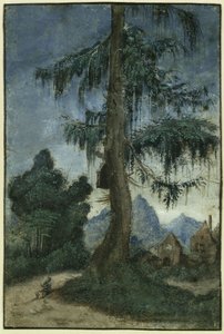  door Albrecht Altdorfer