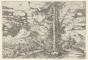 Landschap met dubbele spar door Albrecht Altdorfer