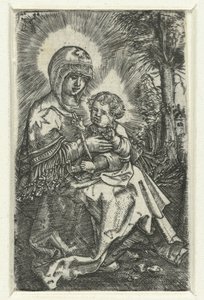 Maria met kind in landschap door Albrecht Altdorfer