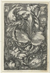 Ornament met bladranken door Albrecht Altdorfer
