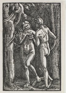 De Val en Verlossing van de Mens: Adam en Eva eten de Verboden Vrucht door Albrecht Altdorfer