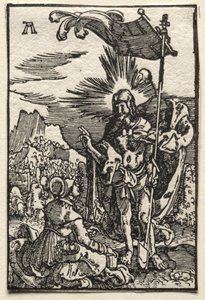 De Val en Verlossing van de Mens: Christus Verschijnt aan St. Maria Magdalena door Albrecht Altdorfer