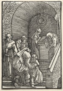 De Val en Verlossing van de Mens: De Presentatie van de Maagd in de Tempel door Albrecht Altdorfer