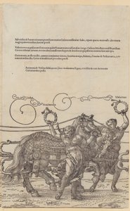  door Albrecht Dürer