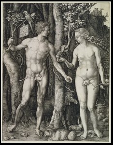  door Albrecht Dürer