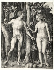 Adam en Eva door Albrecht Dürer