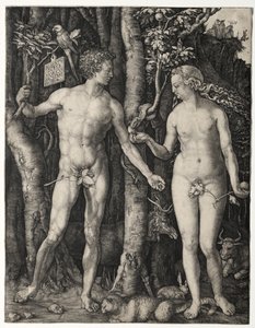 Adam en Eva door Albrecht Dürer