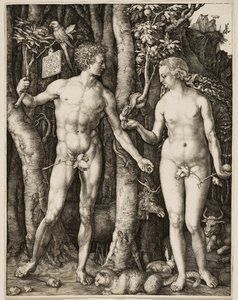Adam en Eva door Albrecht Dürer