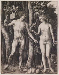  door Albrecht Dürer