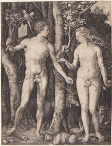  door Albrecht Dürer