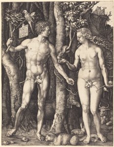  door Albrecht Dürer