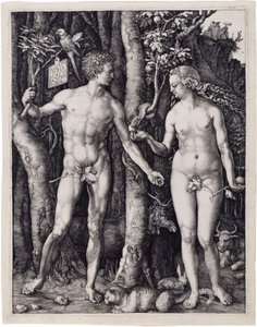  door Albrecht Dürer