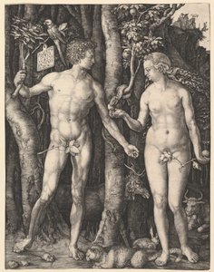  door Albrecht Dürer