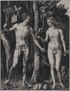 door Albrecht Dürer