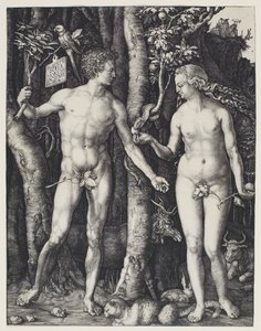 Adam en Eva door Albrecht Dürer