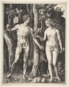 Adam en Eva, 1504 door Albrecht Dürer