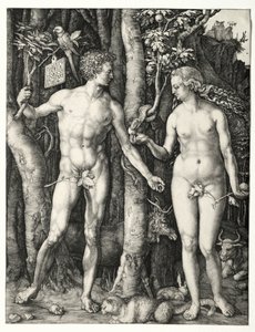 Adam en Eva, 1504 door Albrecht Dürer