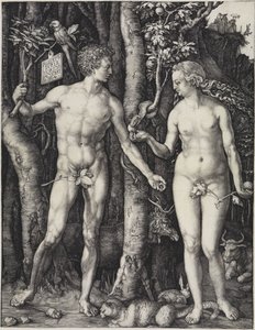  door Albrecht Dürer