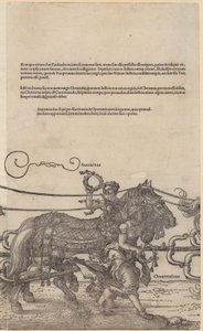  door Albrecht Dürer