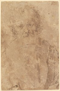  door Albrecht Dürer
