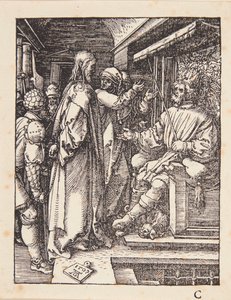  door Albrecht Dürer