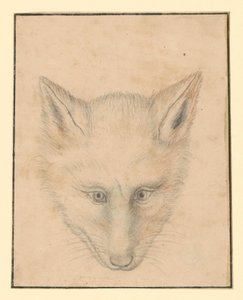  door Albrecht Dürer