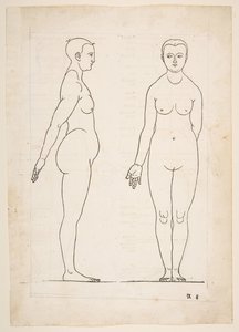 Illustratie uit Dürers Vier Bucher von Menslicher Proportion, Neurenberg, 1528 door Albrecht Dürer