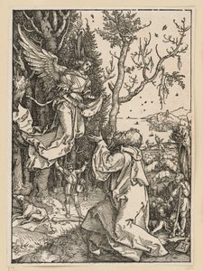  door Albrecht Dürer