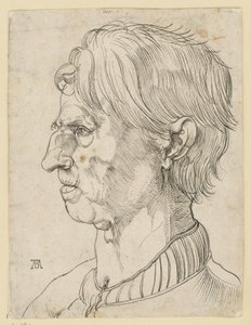 Hoofd van een oudere baardloze man, in profiel naar links door Albrecht Dürer