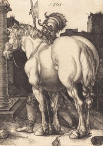 Groot paard