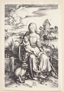 Madonna met de aap