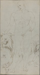 Mannelijke naakt met een leeuw (verso) door Albrecht Dürer