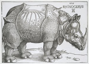 Neushoorn door Albrecht Dürer