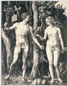 De erfzonde door Albrecht Dürer