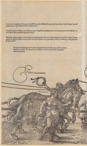  door Albrecht Dürer