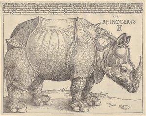 Neushoorn door Albrecht Dürer